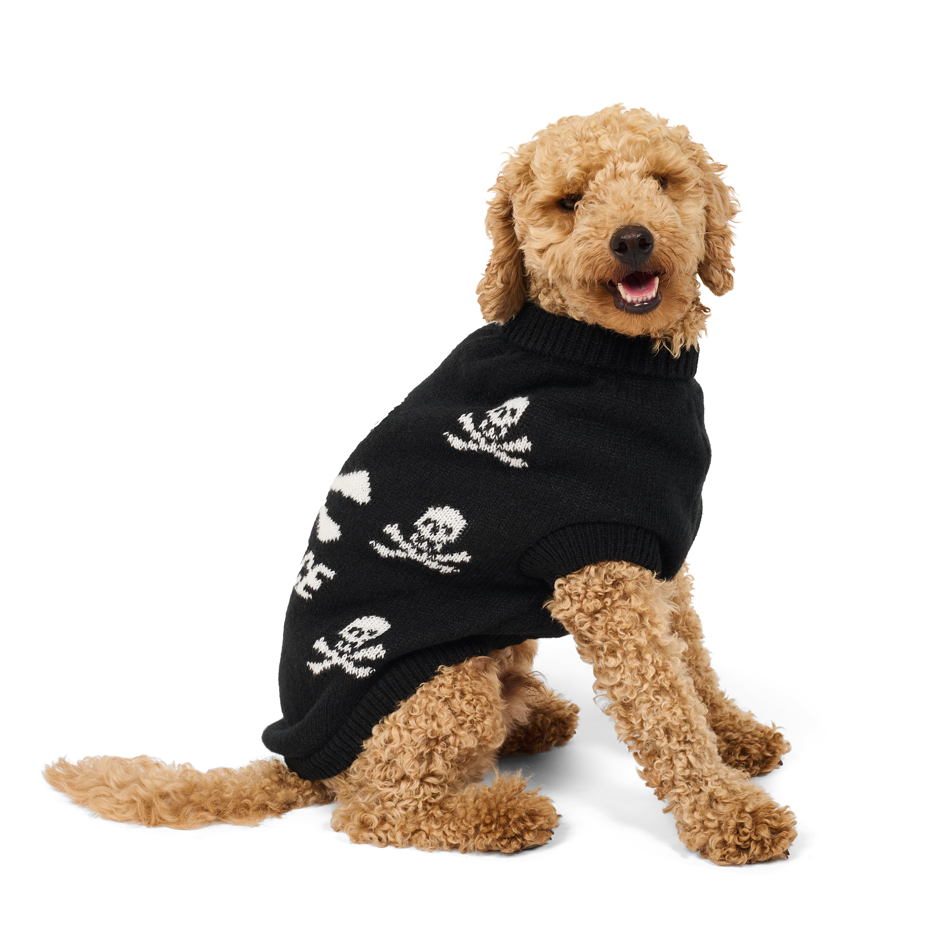 PIRATE DOG JUMPER BLACK